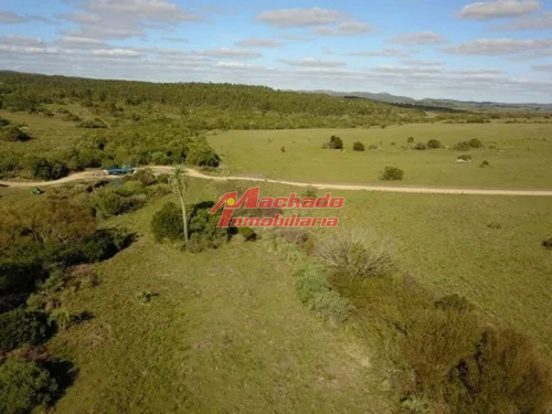 Imagen 5 de 15 de Venta De Chacra De 5 Hectareas En Paraje Las Cañas