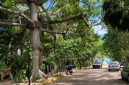 Local Comercial En Renta En Esquina, En Zona Turística De Alto Crecimiento En Playa Del Carmen, ...