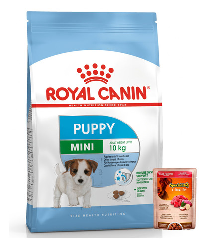 Royal Canin Mini Junior 3k+ Promo -ver Foto- + Envío Todo Uy