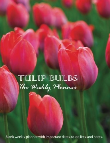 Tulip Bulbs Large 85 X 11 Blank Weekly Planner With Importan