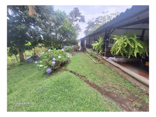 Venta Finca Circasia Quindio. Colombia Cod: 8481169