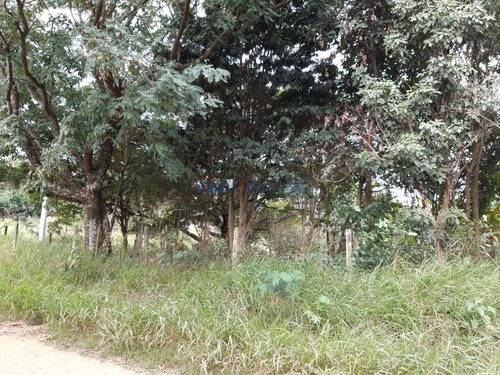 Imagem 5 de 11 de Terreno À Venda Em Jardim Monte Belo - Te268331