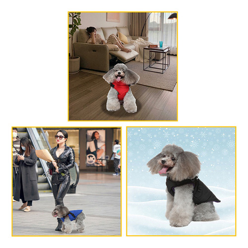 . Chaqueta Para Mascotas, Ropa Con Cierre Y Correa