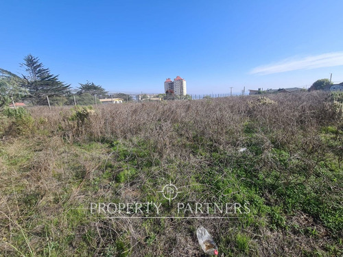 Algarrobo, Lote De 6 Sitios, Ideal Para Construcci...