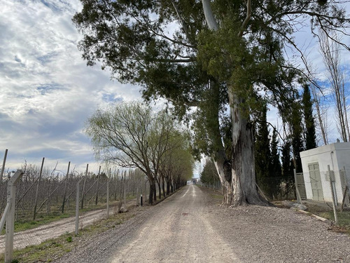 Lote En Venta Barrio Las Patricias, General Roca, Río Negro