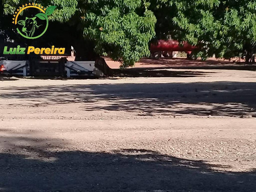 Imagem 12 de 15 de Fazenda À Venda Em Lagoa Do Tocantins-to-de 205 Alqueirões (dupla Aptidão) - 1816