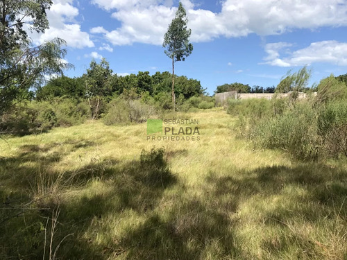 Lote Esquinero 1229 Metros Cobre Camino Eguzquiza En Venta En El Tesoro