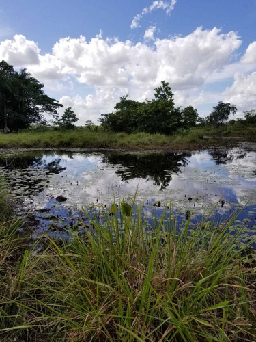 Finca Ganadera Y Cañera En San Pedro Macorís Los Llanos