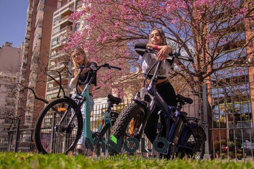 Imagen 3 de 18 de Bicicleta Electrica Viñolo Vehiculos Electricos /m