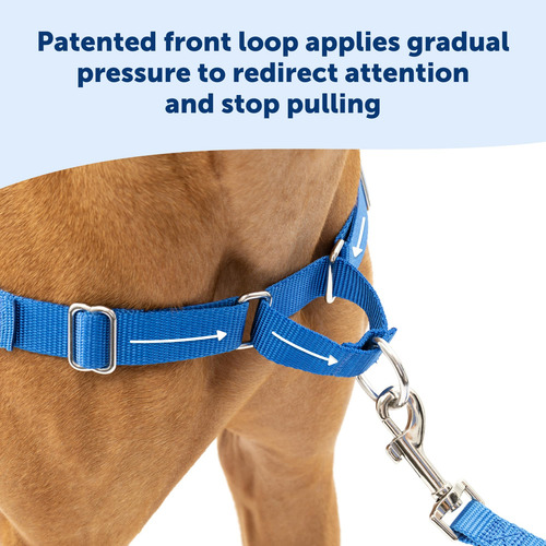 Arnés Para Perros Petsafe Easy Walk No-pull, Pequeño, Color