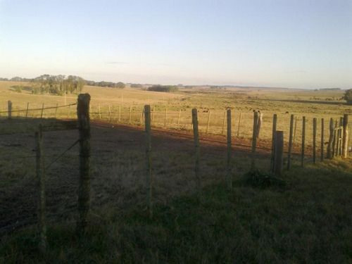 Campo Agrícola Ganadero En Rocha Ref. 4030