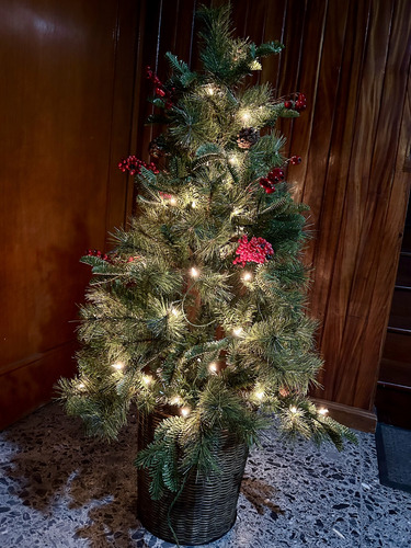 Árbol De Navidad De Pórtico Con Luz Incluida. 1.22 M (Usado)