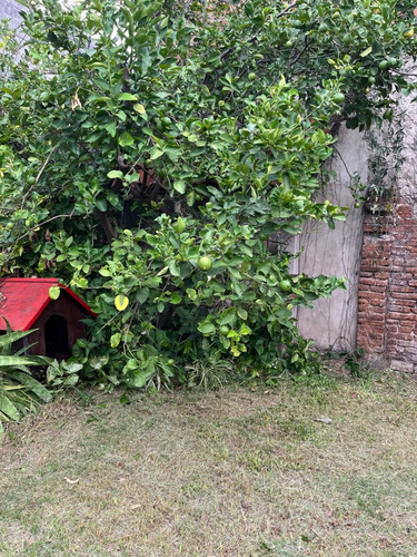 Casa Apta Crédito En Lote Propio Con Parque