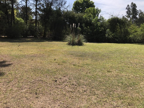 Imagen 6 de 12 de Casa - Parque Natura