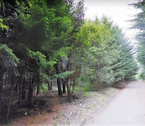 Imagen 5 de 9 de Terreno Lote En Venta Ubicado En Villa Campanario, Bariloche