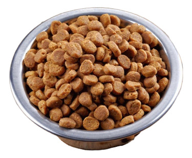 Croqueta Royal Canin A Granel 10kg Más Premios De Regalo