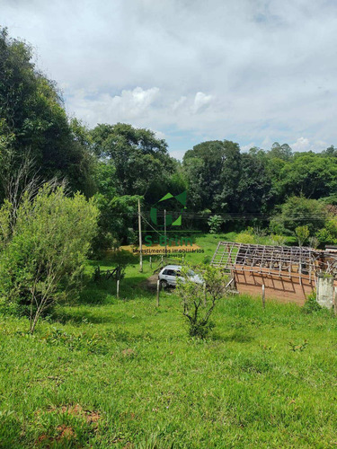 Imagem 6 de 15 de Terreno De 6.000m² - Boa Vista - 727