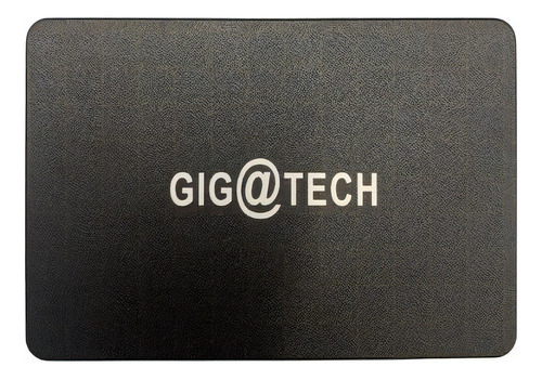 Disco sólido interno GIGATECH Discos FXPRO1000 500GB negro