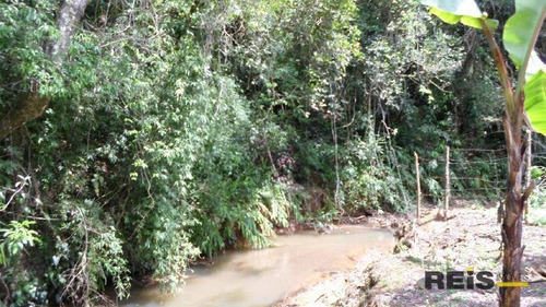 Imagem 7 de 30 de Sítio À Venda, 10000 M² Por R$ 250.000,00 - Piedade - Piedade/sp - Si0017