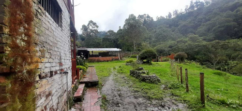 Imagen 16 de 30 de Se Vende Finca 109 Cuadras. Córdoba