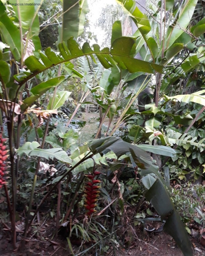 Imagem 22 de 30 de Chacara À Venda No Parque Campolim - Sorocaba/sp - Ch00656 - 67852771