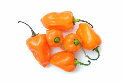 Semillas Aji Habanero Naranja