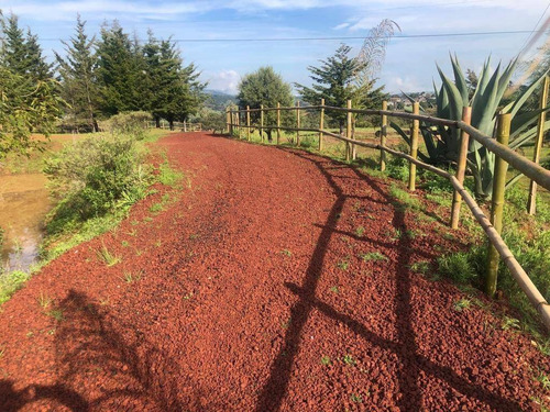 Imagen 1 de 30 de Nuevos Lotes De Terreno En Venta, Tlalpujahua