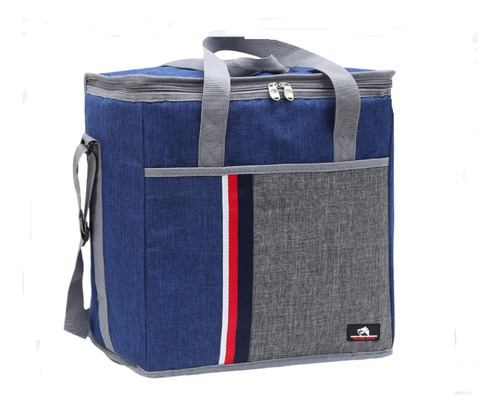 Cooler Bag/ Bolsa De Picnic / Lunchera 