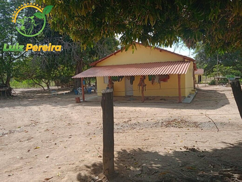 Imagem 15 de 15 de Fazenda À Venda Em São Valério - To - De 223 Alqueirões (pecuária) - 1821