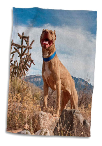 3d Rose American Pitt Bull Terrier Dog-new Mexico-us32 Zmu00