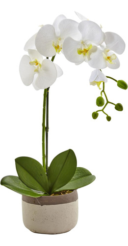 Orquídea Phalaenopsis Casi Natural 4569 En Maceta De Cerámic