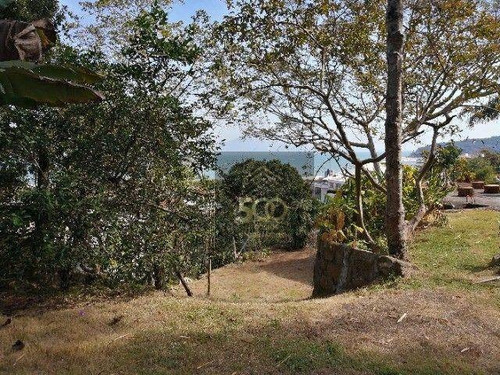 Imagem 13 de 20 de Terreno À Venda, 400 M² Por R$ 690.000,00 - Ponta Das Canas - Florianópolis/sc - Te0227