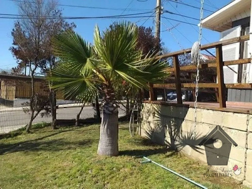 Los Pelicanos, Concón, 3d 2b, 80/297m2
