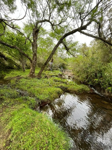 Imagen 8 de 11 de Campo En Carape - Con Hermosa Cañada - Oportunidad !!!!! - Zona Rural