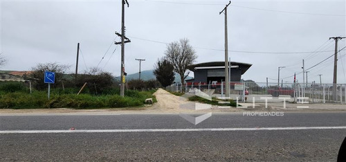 Imagen 27 de 29 de Industrial En Venta En Casablanca