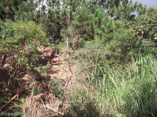 Imagem 6 de 10 de Terreno Condomínio San Fernando Valley - Te0129-1