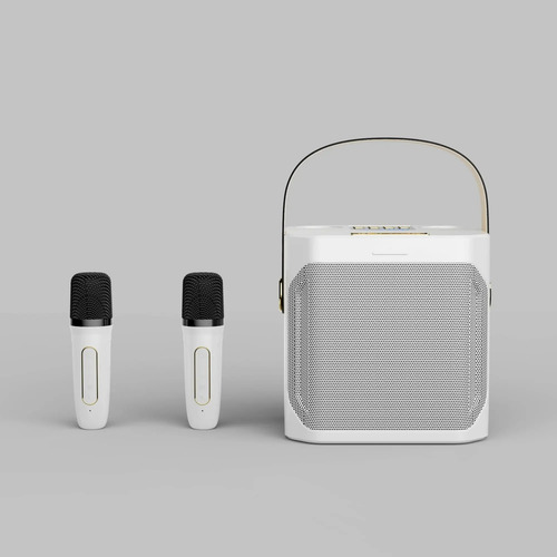 Karaoke Portátil Recargable 2micr Inalámbric Bluetooth Bryo