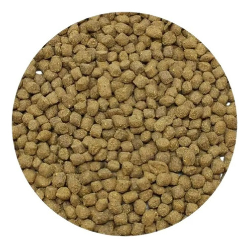 Ração Jurassi Diet Pet Pogona Dragão Barbado Seachem 40g