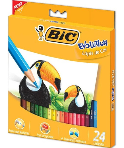 Lápis De Cor 24 Cores Bic Evolution