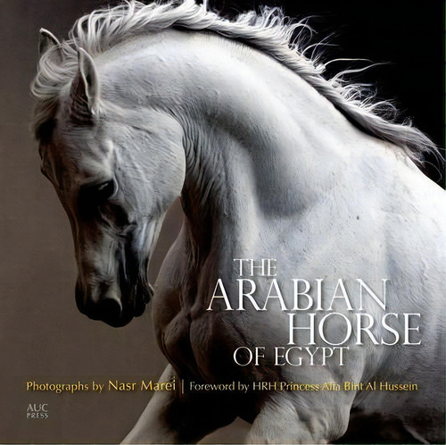 The Arabian Horse Of Egypt, De Cynthia Culbertson. Editorial The American University In Cairo Press, Tapa Blanda En Inglés