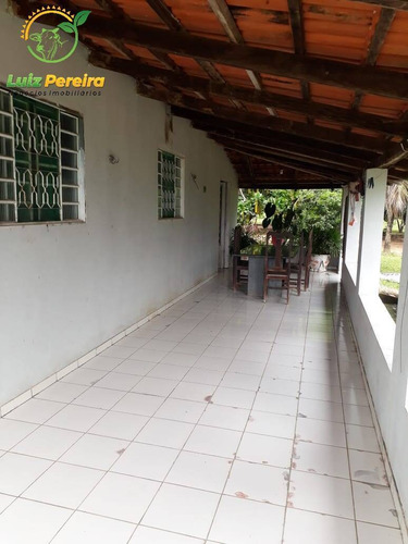 Imagem 8 de 12 de Fazenda À Venda Em Nova Olinda - To - 968 Hec (pecuária) - 1876
