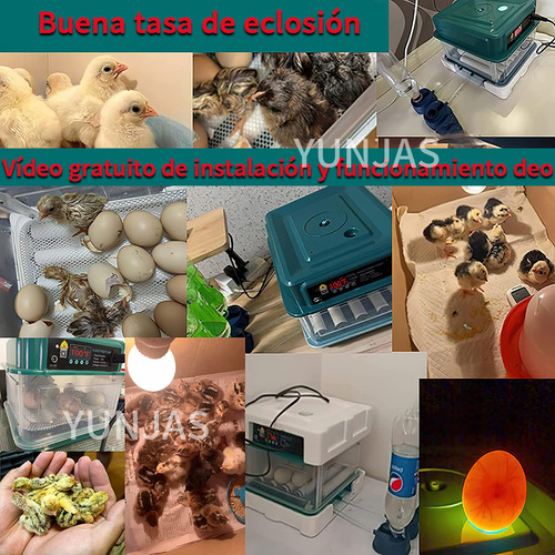 Yunjas 24p Incubadora Automática De Aves De Corral Nacedora