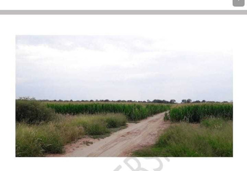 Imagen 7 de 7 de Campo Agricola 680ha Añatuya Santiago Del Estero