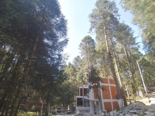 Imagen 3 de 12 de Casa Sola En Venta Cabaña Dentro De Zona Boscosa, Fraccionamiento Privado