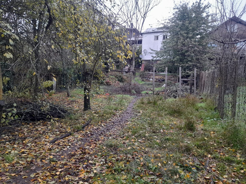 Preparate Para Una Nueva Inversion En Osorno