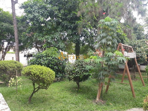 Imagem 5 de 16 de Casa Térrea Com 3 Quartos - 235915-l