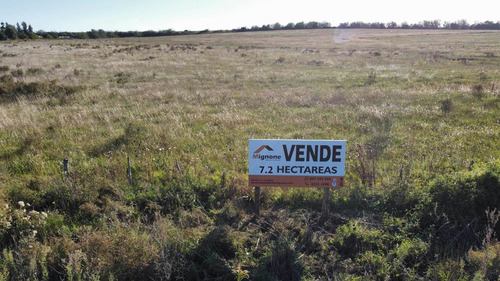 Imagen 1 de 7 de Chacra De 7,2 Has Sobre Ruta 21. La Horqueta