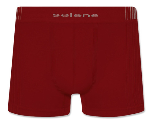 Kit Com 10 Cuecas Box Selene Em Poliamida - Cores Sortidas