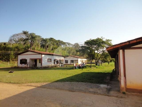 Imagem 17 de 20 de Sítio À Venda Em Joaquim Egidio - Si206744