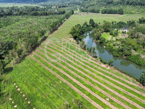 Increíbles Terrenos En Venta Frente Al Estero En Juana Moza, Tuxpan Ver.